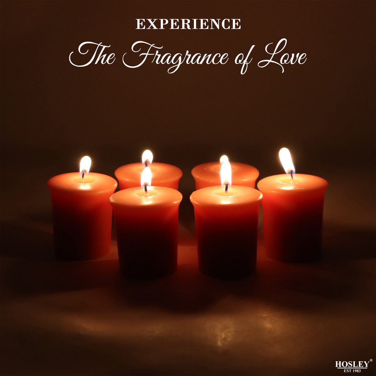 Set of 6 Hosley® 15 Hour Burn Time Each, Tropical Mist Highly Fragranced  Votive Candles