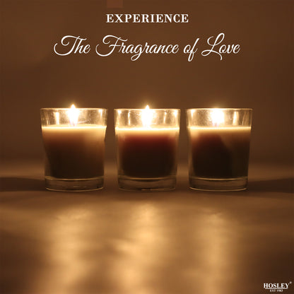 Set of 3 Hosley® Highly Fragranced Fresh Bamboo Filled Glass Candles, 1.6 Oz wax each