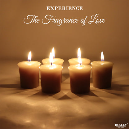 Set of 6 Hosley® 15 Hour Burn Time Each, Fresh Bamboo Highly Fragranced  Votive Candles