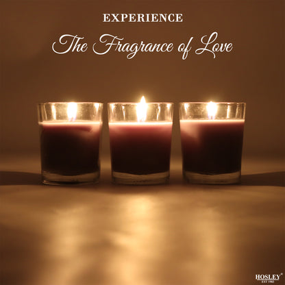 Set of 3 Hosley® Highly Fragranced Eucalyptus Mint Filled Glass Candles, 1.6 Oz wax each
