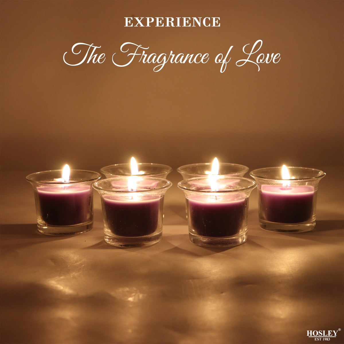 Hosley Highly Fragranced Lavender Filled Votive Glass Candle Holder - Pack of 6, Purple