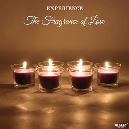 Hosley Highly Fragranced Lavender Filled Votive Glass Candle Holder - Pack of 6, Purple