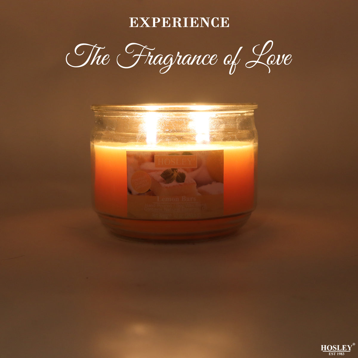 Hosley® Lemon Bar Highly Fragranced, 2 Wick, 10 Oz wax, Jar Candle