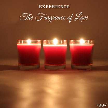 Set of 3 Hosley® Highly Fragranced Apple Cinnamon Filled Glass Candles, 1.6 Oz wax each