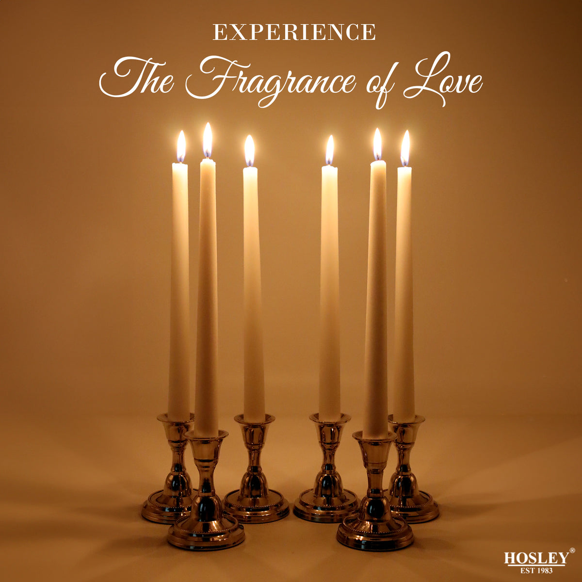 Hosley Vanilla Fragranced White Taper Candles – Pack of 6, 25.4cm
