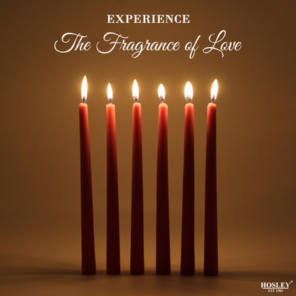 HOSLEY Pack of 6 Rustic Sandalwood Fragrance Taper Candles 10 Inch Long|Dinner Candles|Smokeless & Dripless|Celebration Candles|Long Burning|Perfect for Home Decor, Lighting|Burn Time 9 Hours| Brown