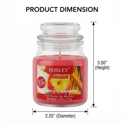Hosley Apple Cinnamon Fragranced Jar Candle – 2.65 Oz