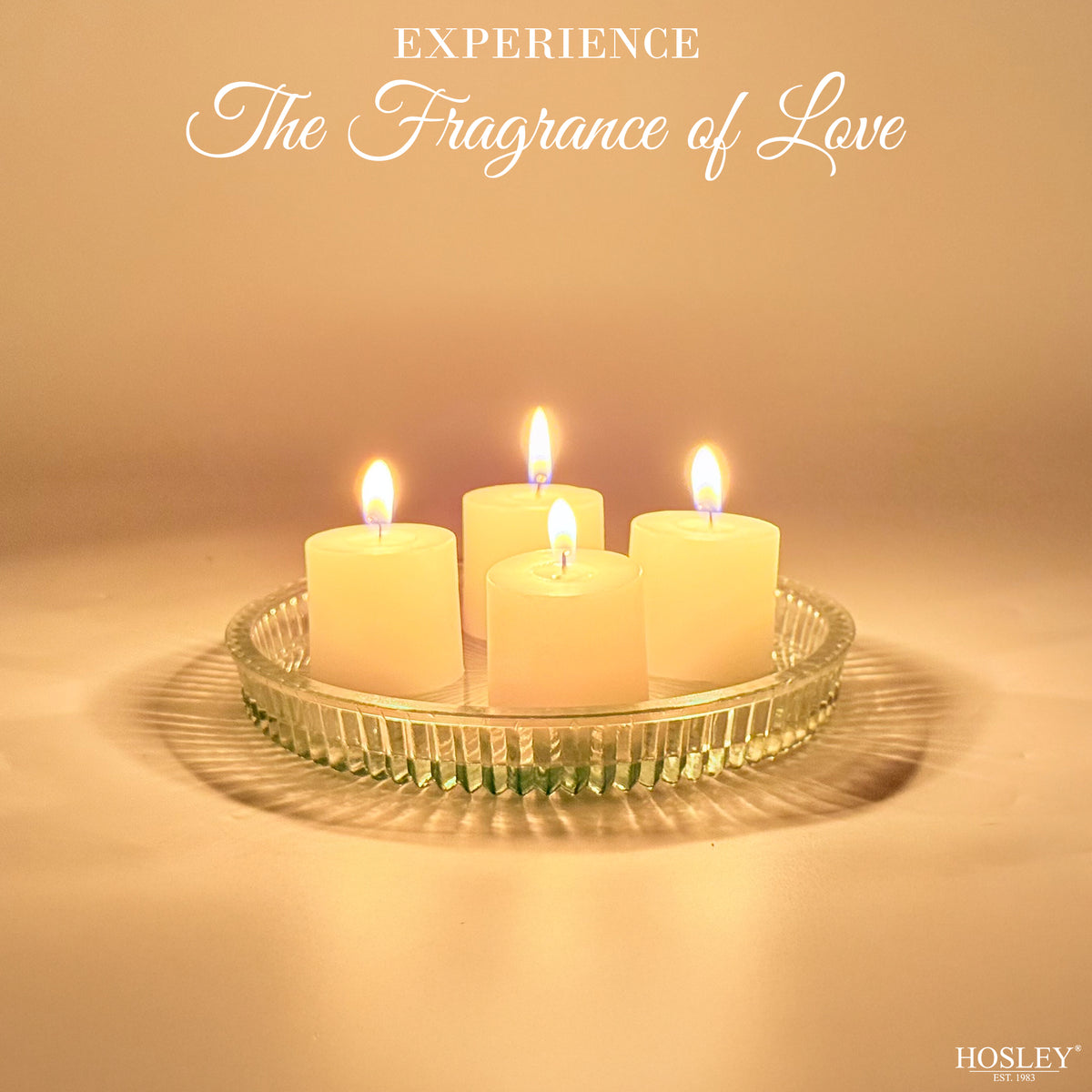 Hosley Set of 72 White Unscented Votive Candles | 10 Hour Burn Time |