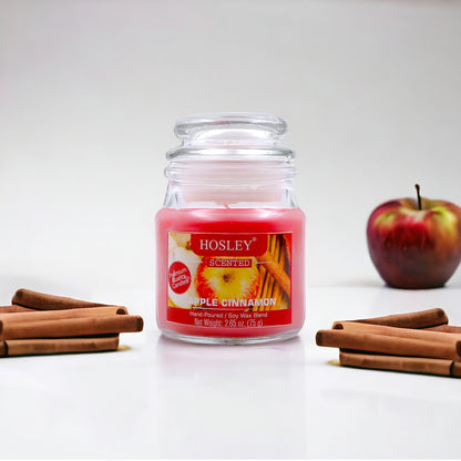 Hosley Set of 2 Apple Cinnamon 2.65 Oz (75g)