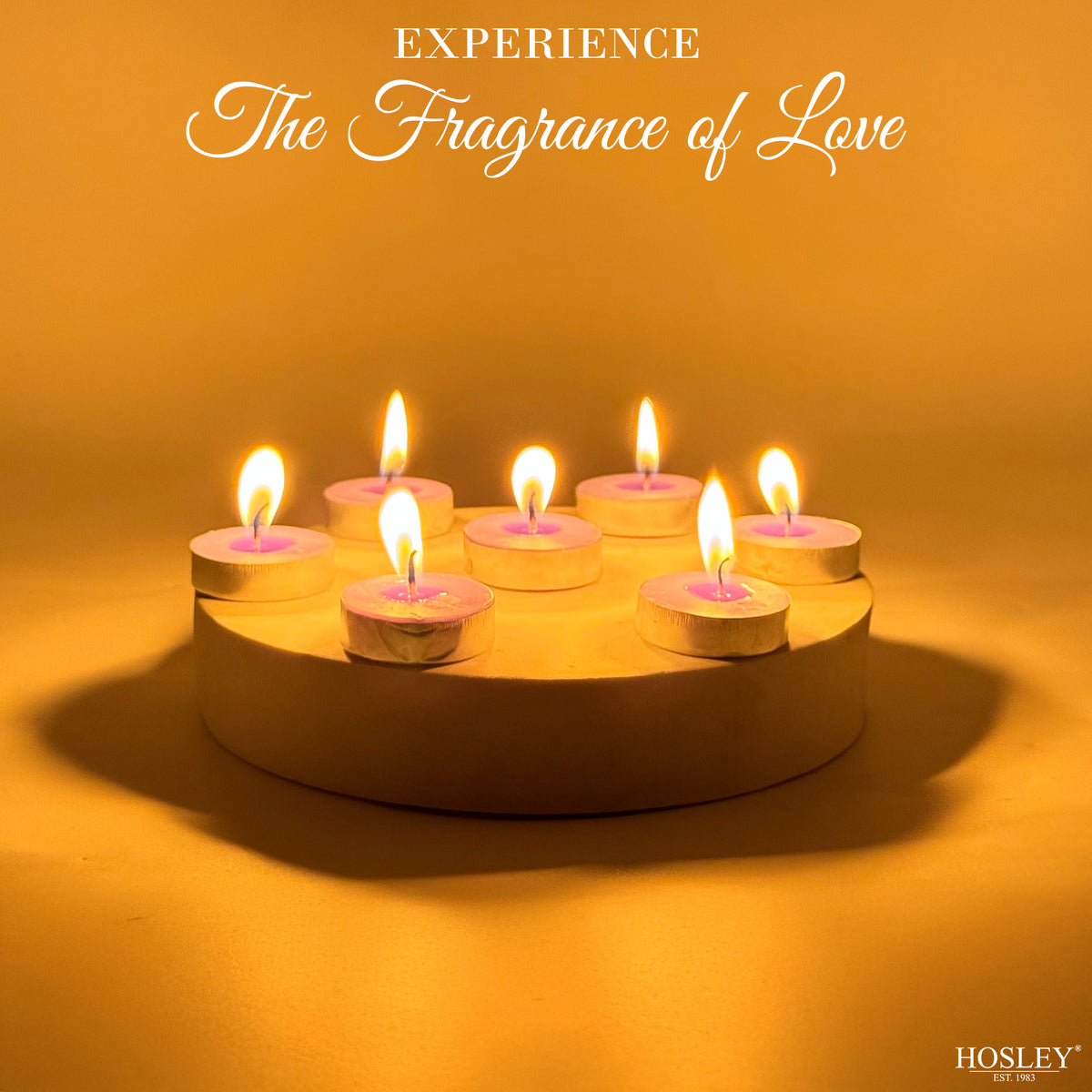 Hosley Lavender Fragranced Tea Light Candles – Set of 30