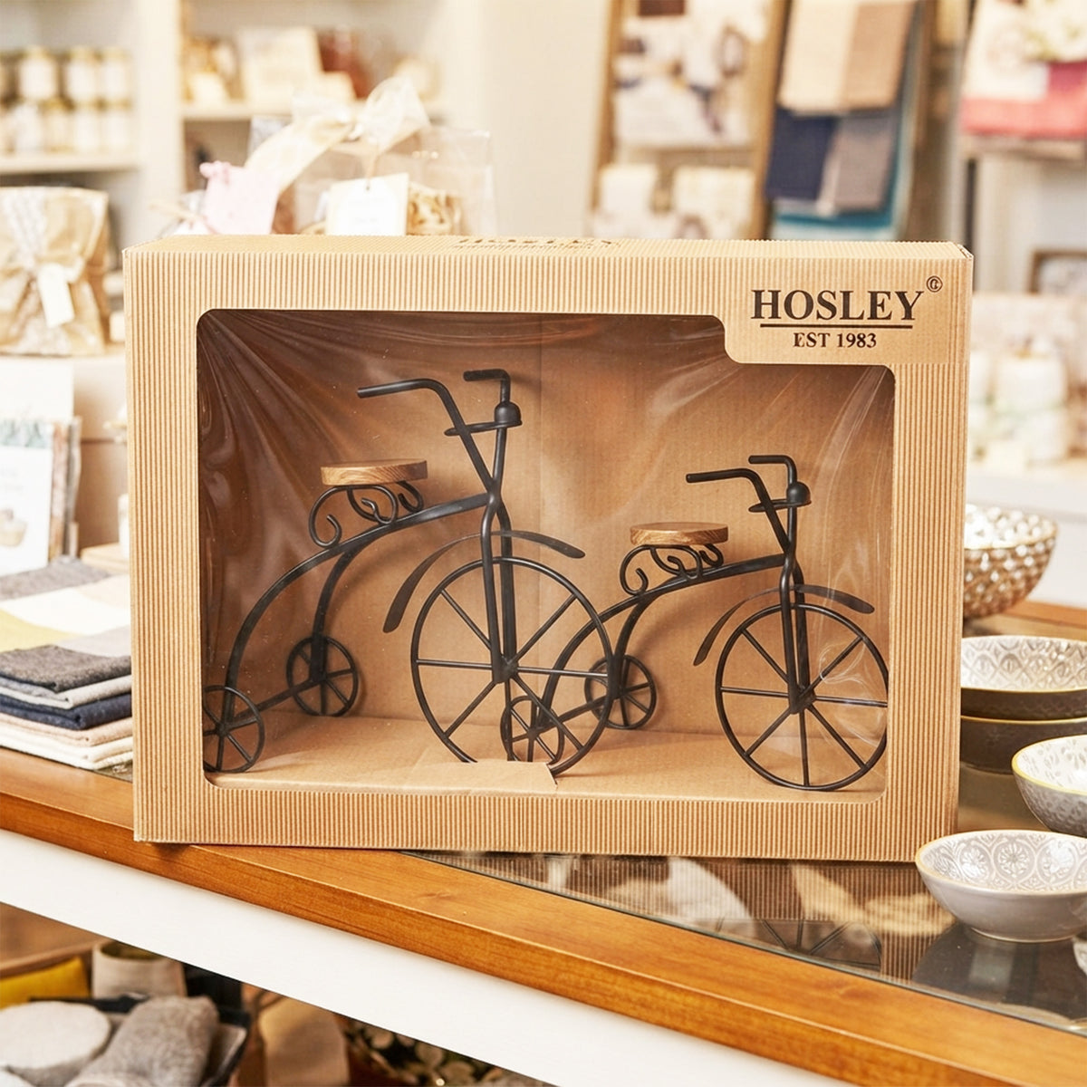 Set of 2 Decorative Metal Bicycle Showpiece