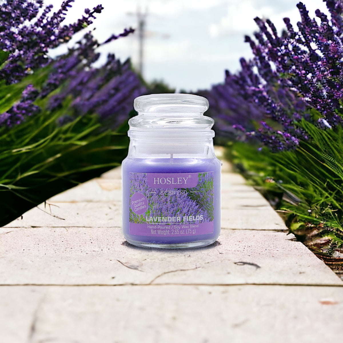 Hosley Set of 2 Lavender Fields 2.65 Oz (75g)