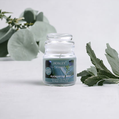 Hosley Eucalyptus Mint Fragranced Jar Candle – 2.65 Oz