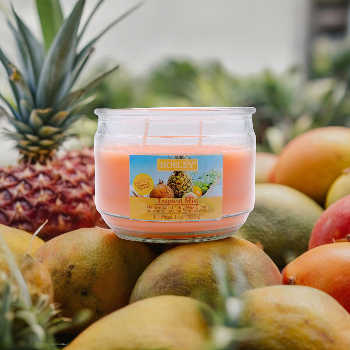 Hosley® Tropical Mist, Highly Fragranced, 2 Wick, 10 Oz wax, Jar Candle