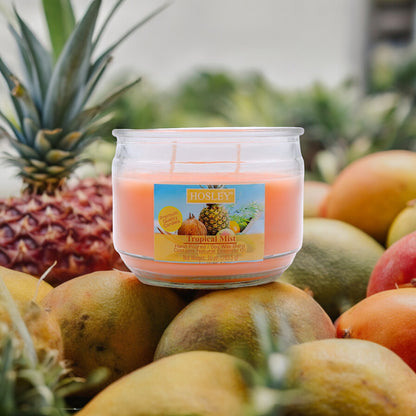 Hosley® Tropical Mist, Highly Fragranced, 2 Wick, 10 Oz wax, Jar Candle