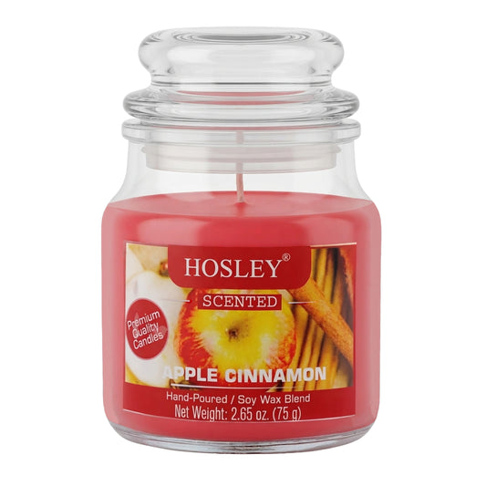Hosley Apple Cinnamon Fragranced Jar Candle – 2.65 Oz