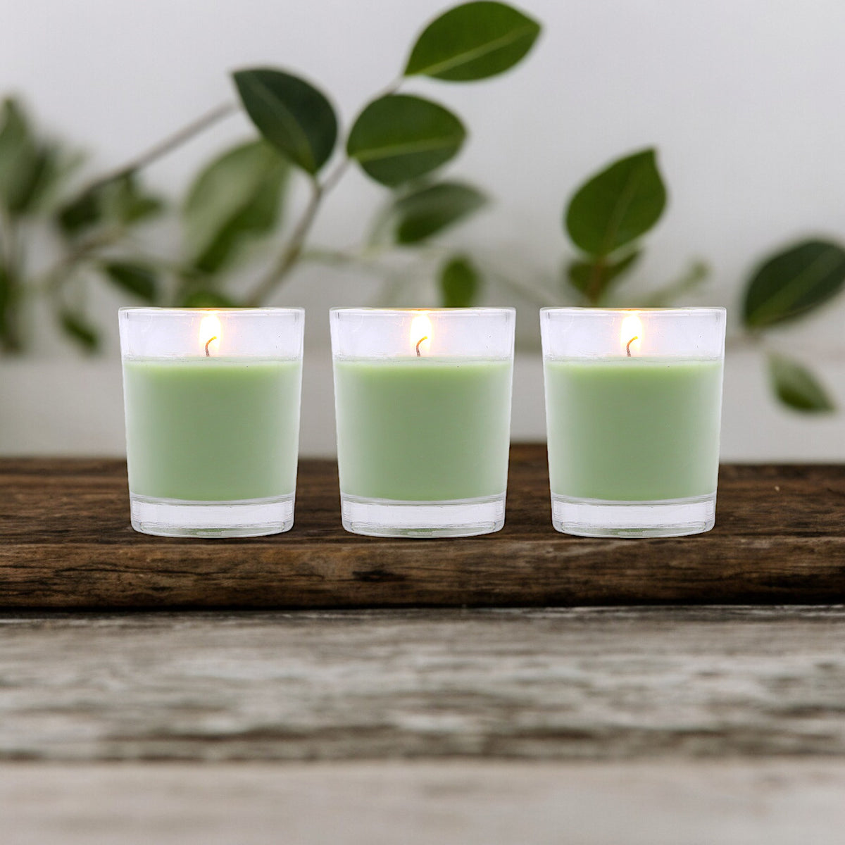 Set of 3 Hosley® Highly Fragranced Fresh Bamboo Filled Glass Candles, 1.6 Oz wax each
