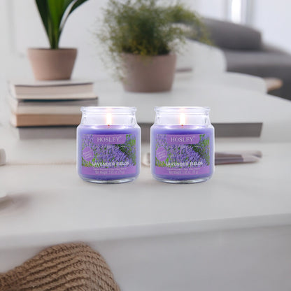 Hosley Set of 2 Lavender Fields 2.65 Oz (75g)