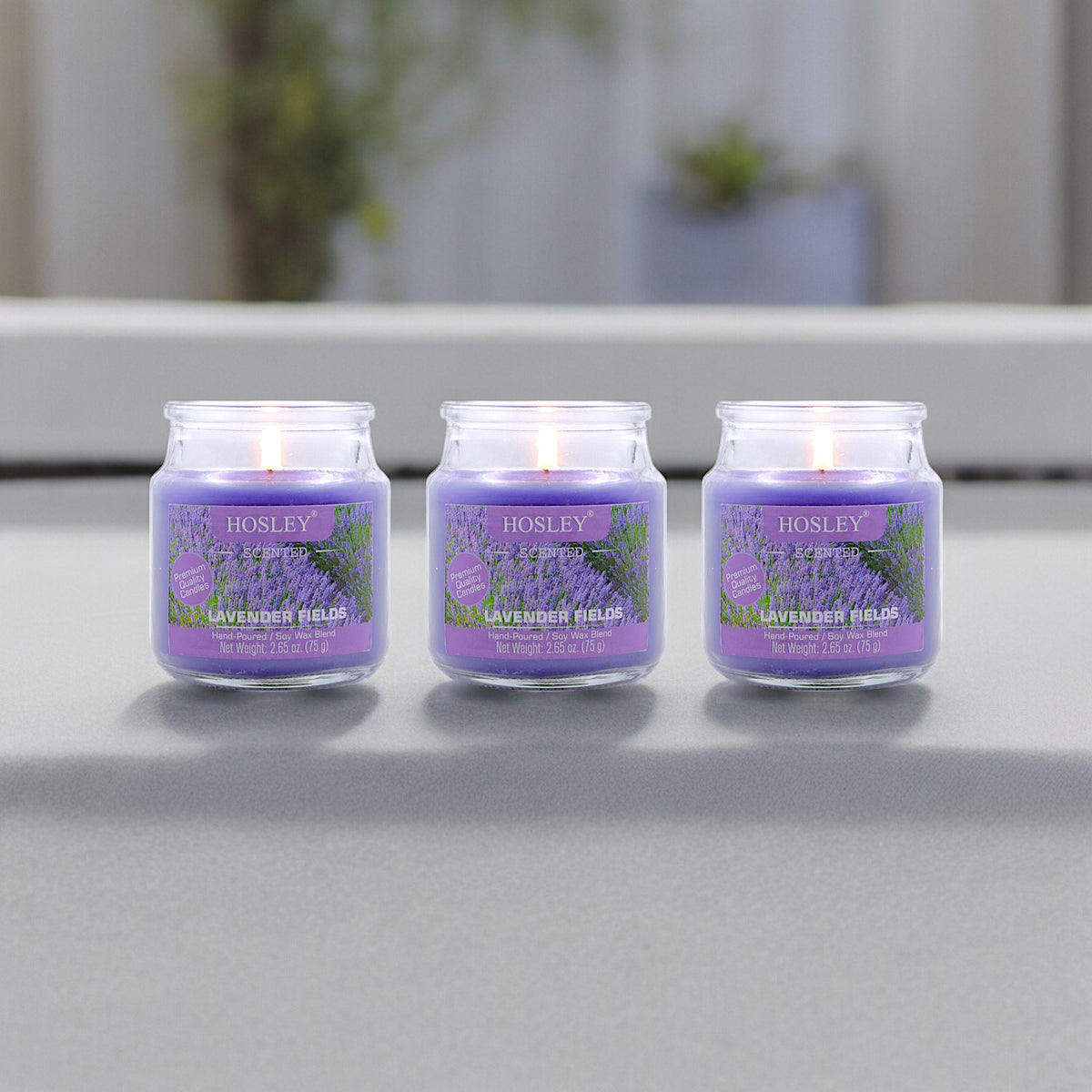 Hosley Lavender Fields Fragranced Jar Candles – Set of 3, 2.65 Oz Each