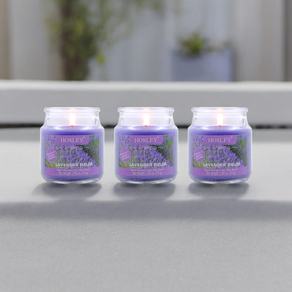 Hosley Lavender Fields Fragranced Jar Candles – Set of 3, 2.65 Oz Each