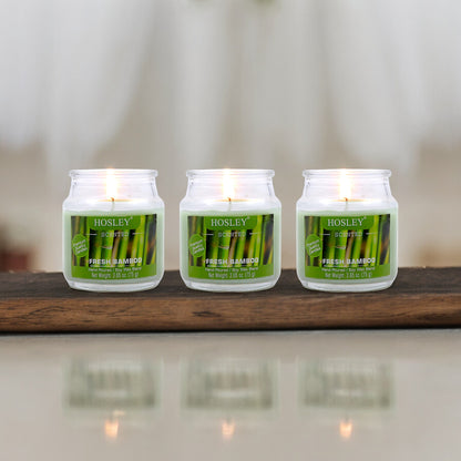 Hosley Fresh Bamboo Fragranced Jar Candles – Set of 3, 2.65 Oz Each