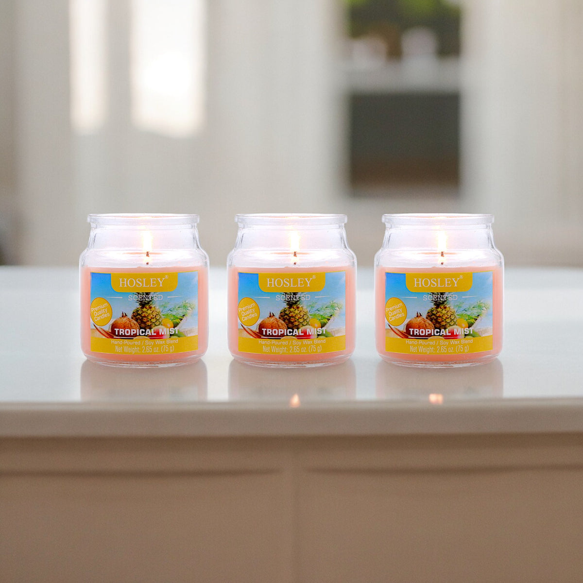 Set of 3 Hosley® Tropical Mist  Highly Fragranced Jar Candles, 2.65 Oz wax each