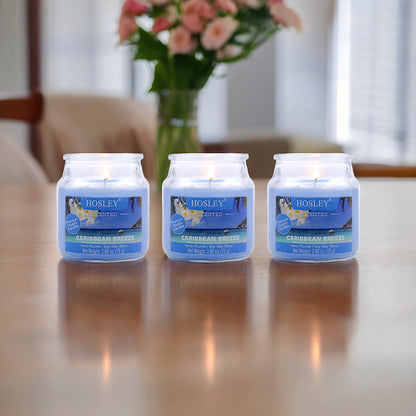 Set of 3 Hosley® Caribbean Breeze  Highly Fragranced Jar Candles, 2.65 Oz wax each