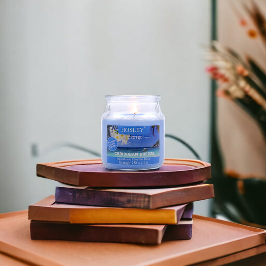 Hosley® Caribbean Breeze Highly Fragranced, 2.65 Oz wax, Jar Candle