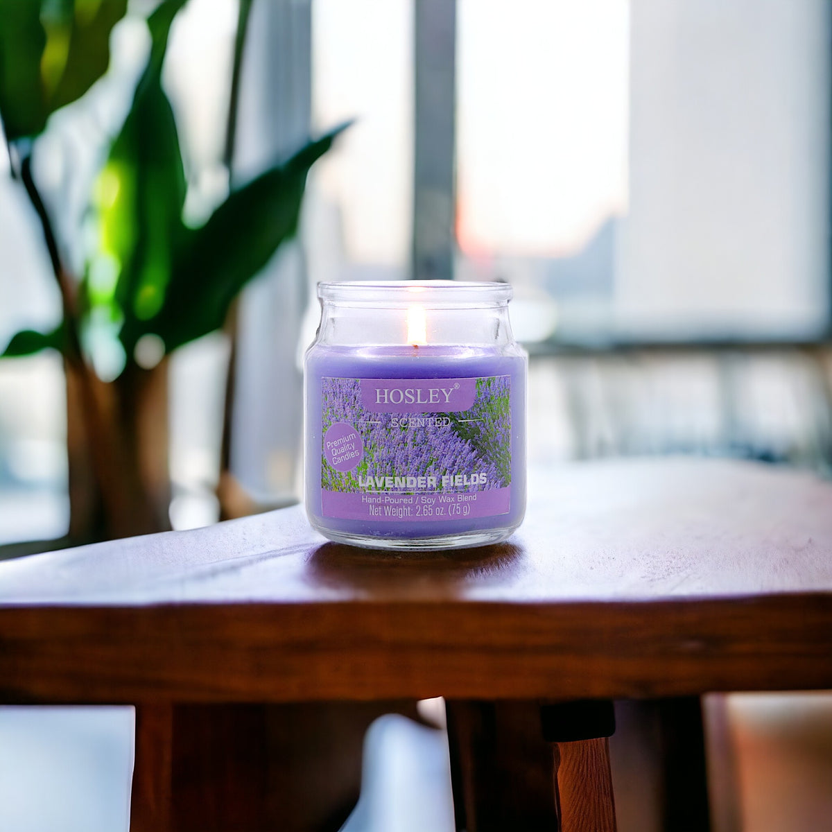 Hosley Lavender Fields Fragranced Jar Candle – 2.65 Oz