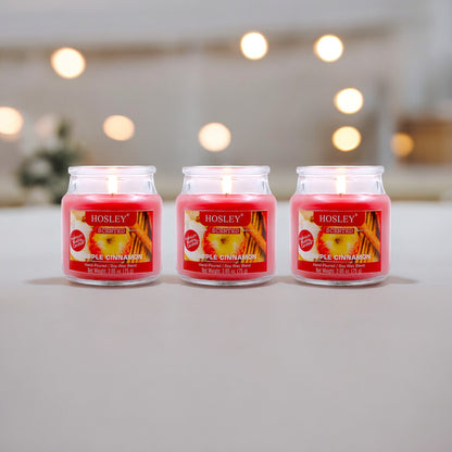 Hosley Apple Cinnamon Fragranced Jar Candles – Set of 3, 2.65 Oz Each