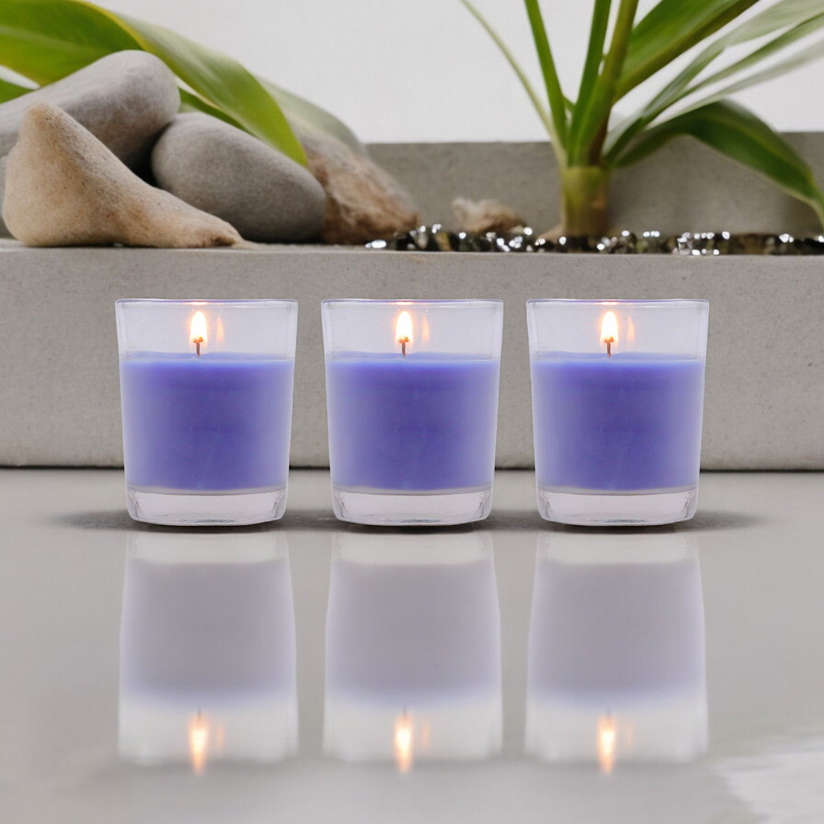 Set of 3 Hosley® Highly Fragranced Lavender Fields Filled Glass Candles, 1.6 Oz wax each