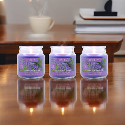 Hosley Lavender Fields Fragranced Jar Candles – Set of 3, 2.65 Oz Each