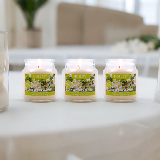 Set of 3 Hosley®  Sweet Pea Jasmine Highly Fragranced Jar Candles 2.65 Oz wax each
