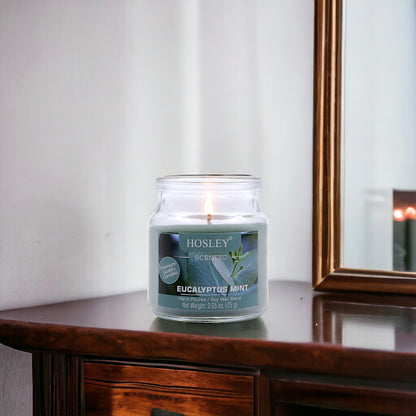Hosley Eucalyptus Mint Fragranced Jar Candle – 2.65 Oz