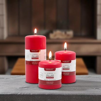 Hosley Set 3 Decorative Cinnamon Highly fragranced Pillar Candle