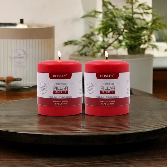 Hosley Set of 2 Apple Cinnamon 3Inchs Pillar Candles