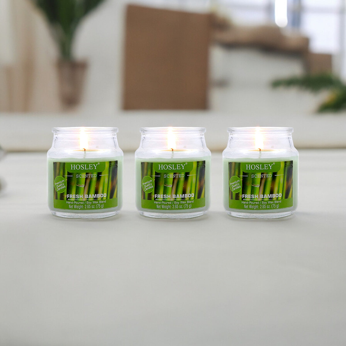 Hosley Fresh Bamboo Fragranced Jar Candles – Set of 3, 2.65 Oz Each