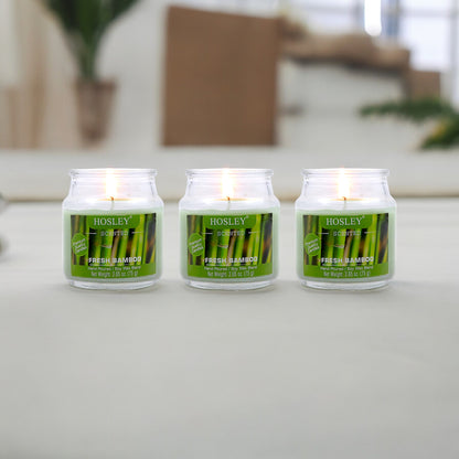 Hosley Fresh Bamboo Fragranced Jar Candles – Set of 3, 2.65 Oz Each