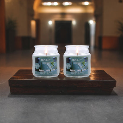 Hosley Set of 2 Eucalyptus Mint 2.65 Oz (75g)