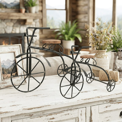 Set of 2 Decorative Metal Bicycle Showpiece