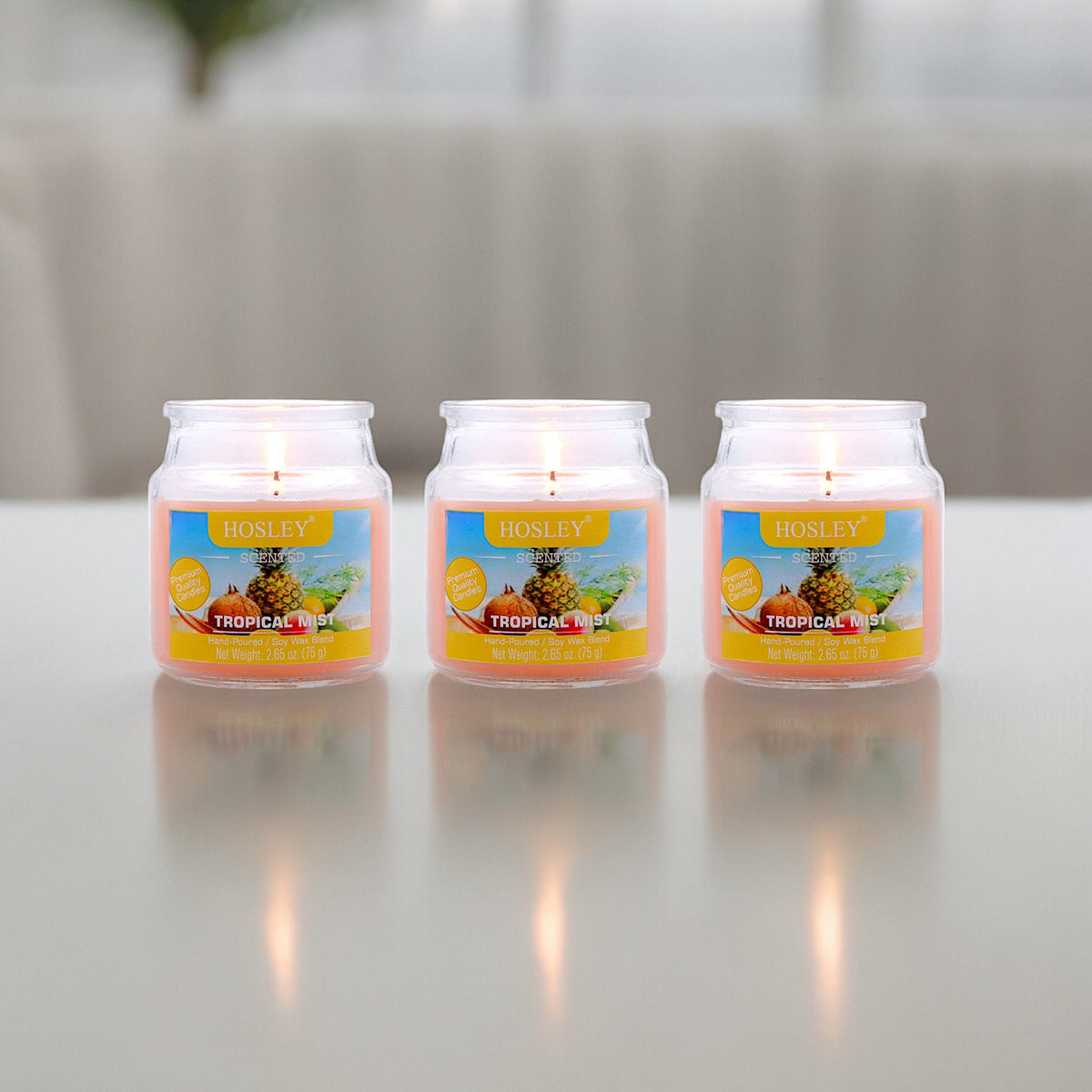 Set of 3 Hosley® Tropical Mist  Highly Fragranced Jar Candles, 2.65 Oz wax each