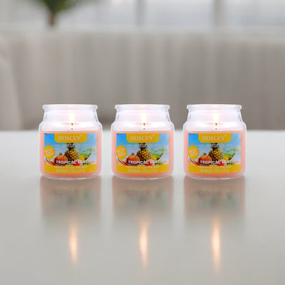 Set of 3 Hosley® Tropical Mist  Highly Fragranced Jar Candles, 2.65 Oz wax each