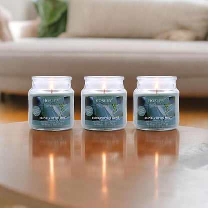 Hosley Eucalyptus Mint Fragranced Jar Candles – Set of 3, 2.65 Oz Each
