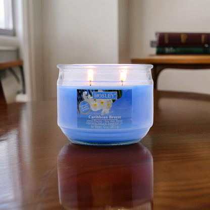 Hosley® Caribbean Breeze Highly Fragranced, 2 Wick, 10 Oz wax, Jar Candle
