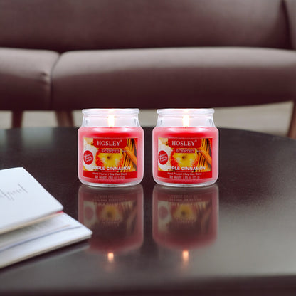 Hosley Set of 2 Apple Cinnamon 2.65 Oz (75g)