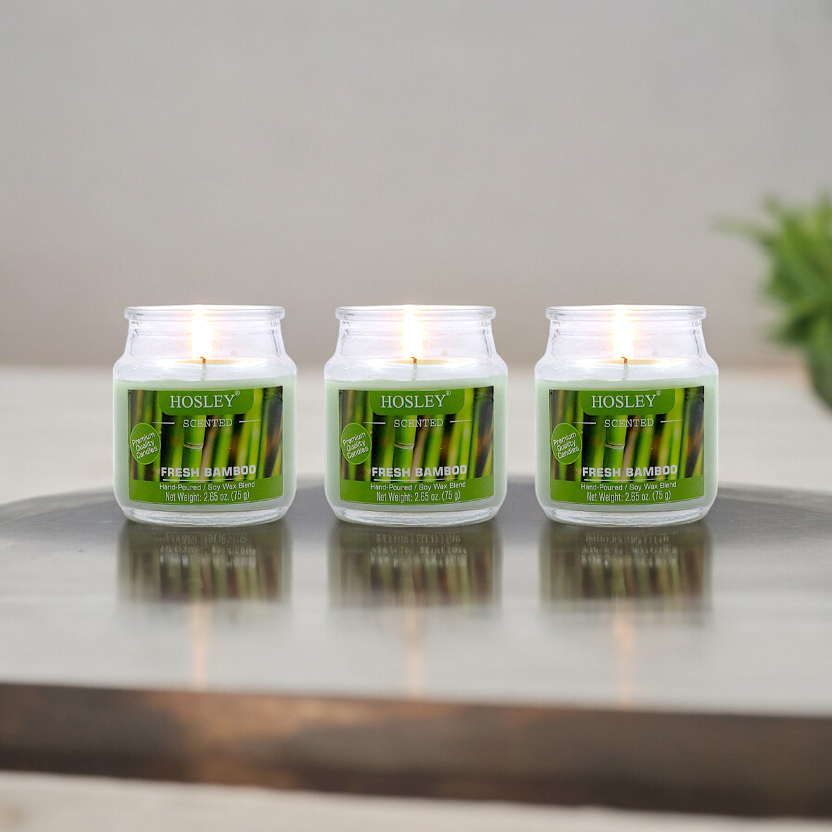 Hosley Fresh Bamboo Fragranced Jar Candles – Set of 3, 2.65 Oz Each