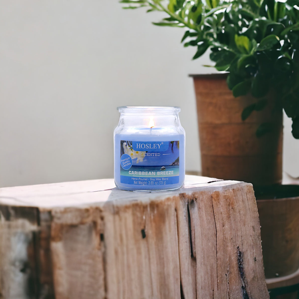 Hosley® Caribbean Breeze Highly Fragranced, 2.65 Oz wax, Jar Candle