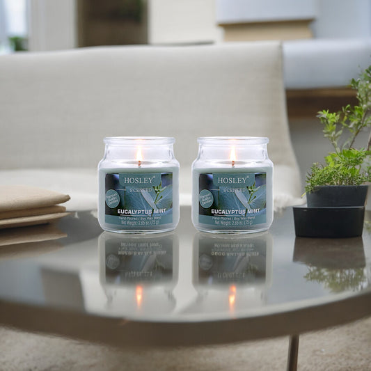 Hosley Set of 2 Eucalyptus Mint 2.65 Oz (75g)