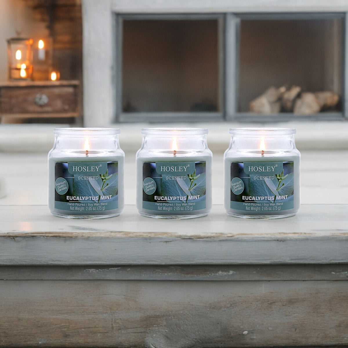 Hosley Eucalyptus Mint Fragranced Jar Candles – Set of 3, 2.65 Oz Each