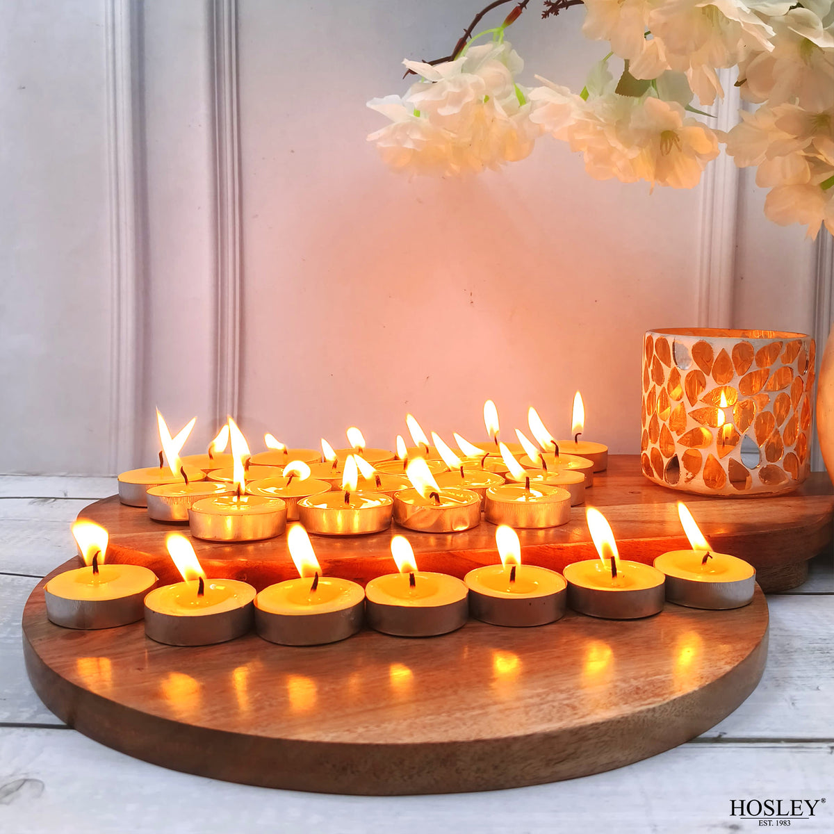 Hosley  Citronella Fragranced Tea Light Candles – Set of 30